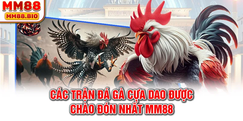 Các trận đá gà cựa dao được chào đón nhất MM88