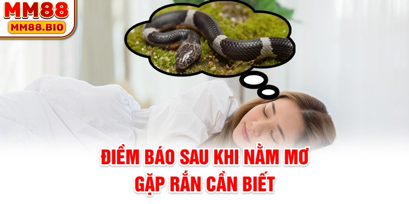 Điềm báo sau khi nằm mơ gặp rắn cần biết