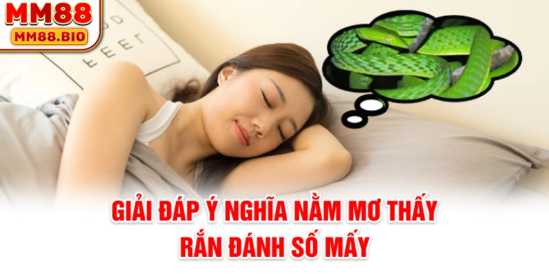 Giải đáp ý nghĩa nằm mơ thấy rắn đánh số mấy