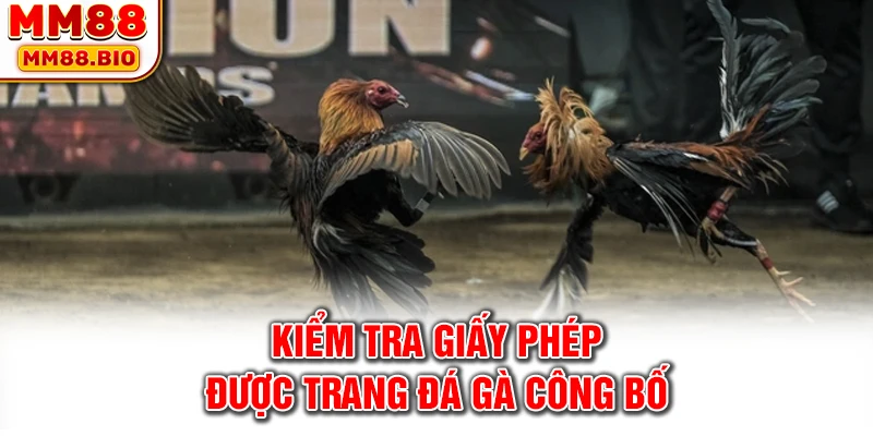 Kiểm tra giấy phép được trang đá gà công bố