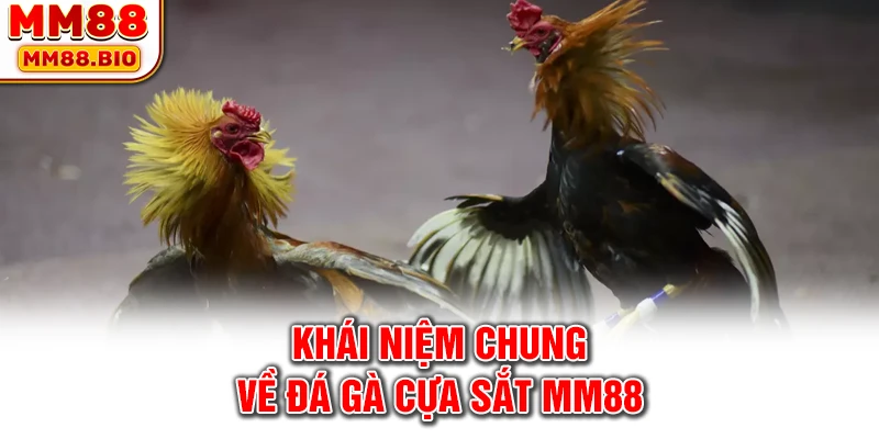 Khái niệm chung về đá gà cựa sắt MM88