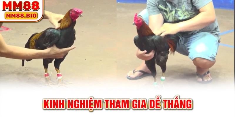 Kinh nghiệm tham gia dễ thắng