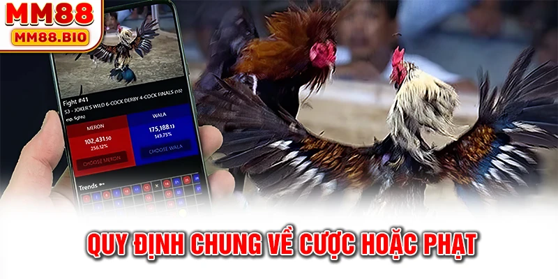 Quy định chung về cược hoặc phạt