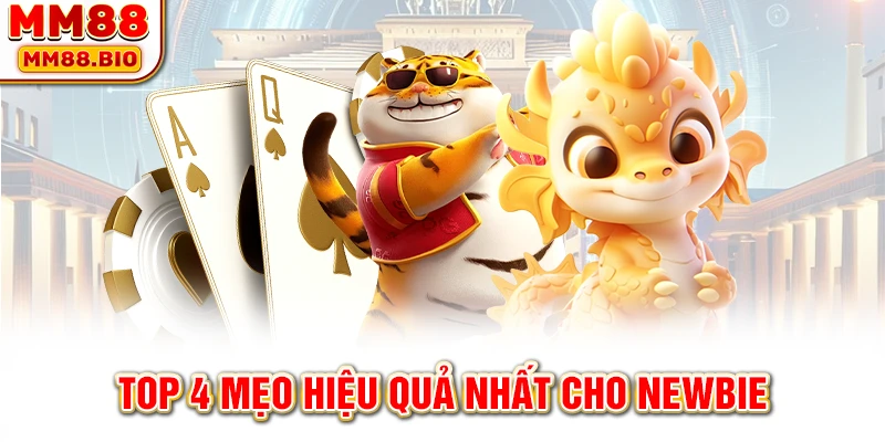 Top 4 mẹo hiệu quả nhất cho newbie